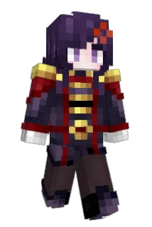 fes Minecraft avatar full body
