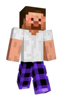 fettiwest Minecraft avatar full body