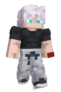 few4 Minecraft avatar full body