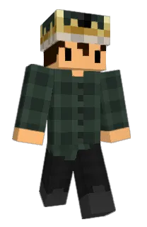 Front of dewwin's skin