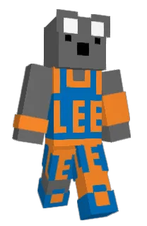 Front of PC's skin