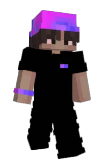 Front of chimppchar's skin