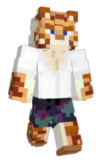 Front of boyslop's skin