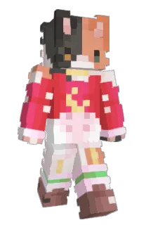 Front of Minecraft skin