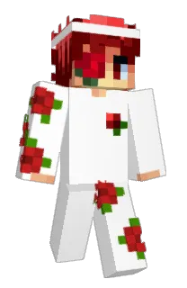 Front of ufolep's skin