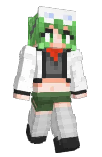 Front of nitreon's skin