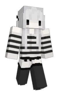 Front of Przepis's skin
