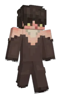 lererer's Minecraft skin