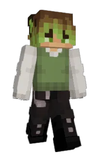 Front of hollowordsbirds's skin