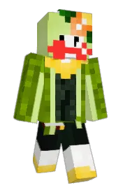 Skin preview