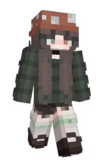 Front of Minecraft skin