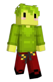 Front of Minecraft skin