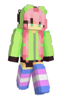 Front of antonymph's skin