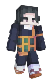 Front of Hounce's skin