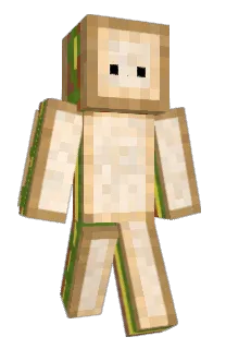 EAMRBOY's Minecraft skin