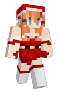 Front of torippiii_'s skin