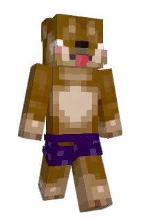 Front of Petterzinho's skin
