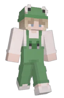 awogaboga's Minecraft skin
