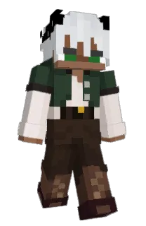 Front of c4icarus9440_'s skin