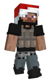 Front of ELMO66's skin