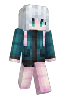 ff_DADA Minecraft avatar full body