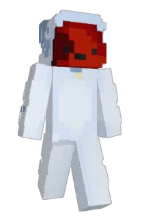 Front of Rwff's skin