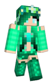 Skin preview