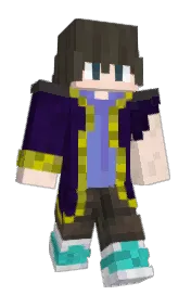 Skin preview