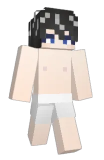 Front of Pitpittt's skin