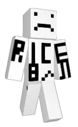 white and black Minecraft skin — Classic model