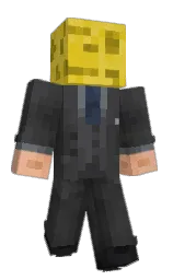 Minecraft skin — Classic model