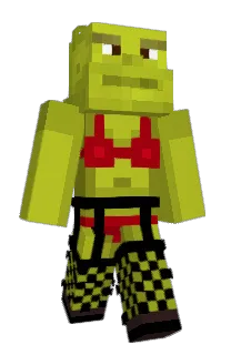Front of B7GF's skin
