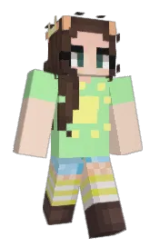 Skin preview