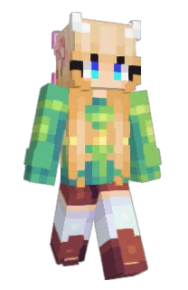 Front of TropixBaja's skin