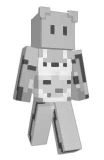 Front of nemogi's skin