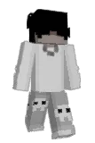 fff8 Minecraft avatar full body