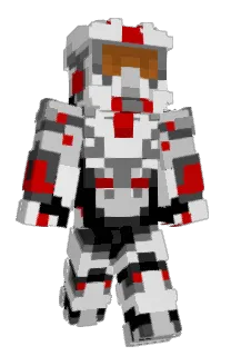 Front of NIKLEET's skin