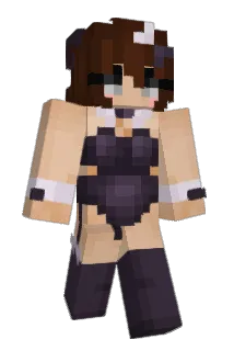 fgbb Minecraft avatar full body