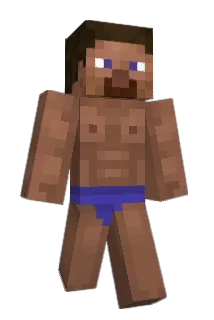 fgdeh Minecraft avatar full body