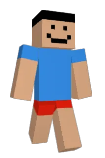 fh8 Minecraft avatar full body