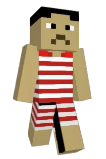 fh_1801 Minecraft avatar full body