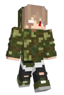 fidgesspinner Minecraft avatar full body