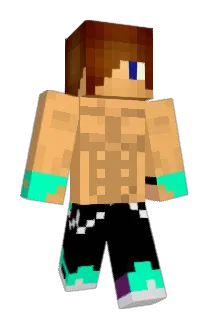fiffimathea Minecraft avatar full body