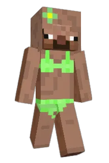 fign Minecraft avatar full body