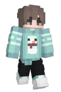 filecosta Minecraft avatar full body