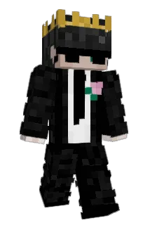 filip323 Minecraft avatar full body