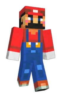 fillivippen Minecraft avatar full body