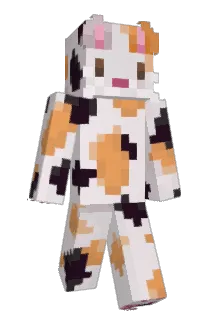 fin1ee Minecraft avatar full body