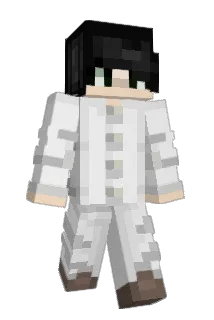 finchy125 Minecraft avatar full body