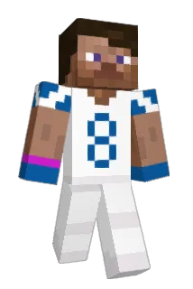 findroxel Minecraft avatar full body